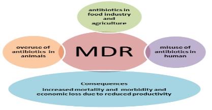 Isolation and characterization of multiple Drug resistant bacteria isolated from poultry waste water