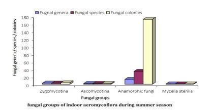 Survey of Indoor Aeromycoflora of Guru Ghasidas Museum in Summer Season