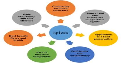 Nature’s Defender: The Antimicrobial Potential of spices– An Overview