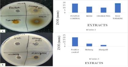 A Study on Polyherbal Skin Ointment: Formulation and Evaluation
