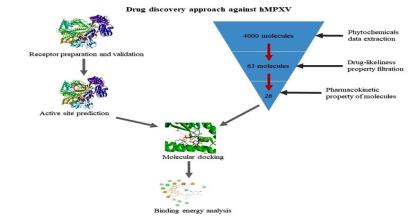 Flavonoids as magical bullets: In silico ADMET profile and molecular docking study against hMPX Virus
